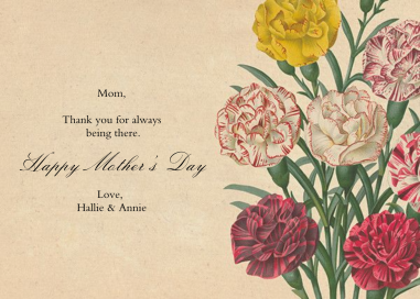 Dianthus (Greeting) by John Derian