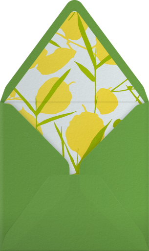 Joan - Schumacher Envelope