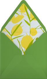 Joan - Schumacher Envelope