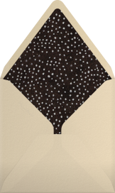 Central Park Skating Square - John Derian Envelope