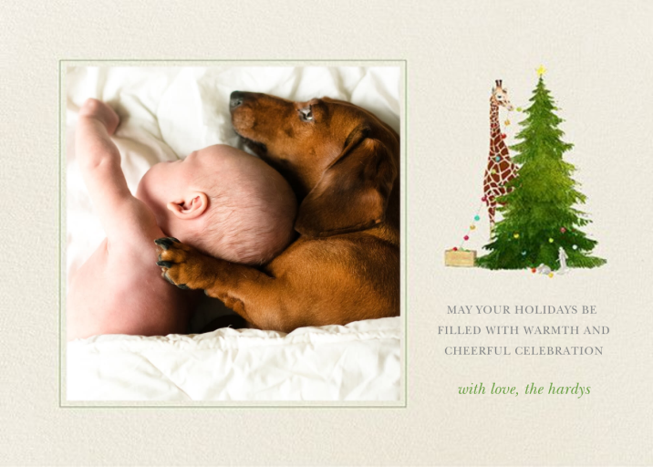 Tall Trimmer (Photo) by Felix Doolittle