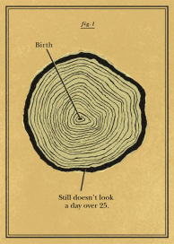 Cross Section - Birthday Card by Paperless Post