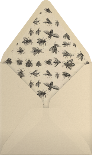 Lavatera - John Derian Envelope