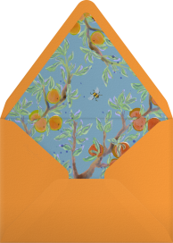 Citrus Branchlets - Fin Fellowes Envelope