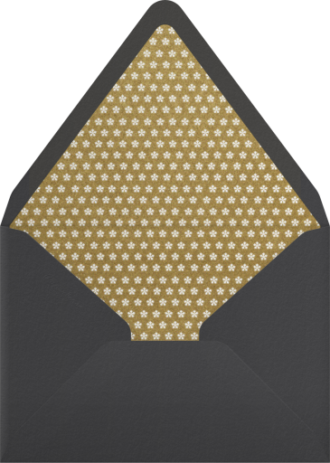 Introducing the Newest - Paperless Post Envelope