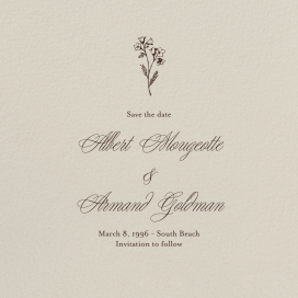 Santa Fe by Paperless Post