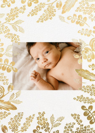 Heather and Lace (Photo) by Rifle Paper Co.