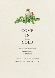 Barn Owl by Felix Doolittle