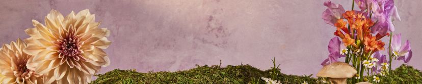 Lavender background with balloons on it.