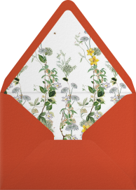 Xarpo - Stephanie Fishwick Envelope