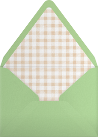 Vichy Check - Paperless Post Envelope