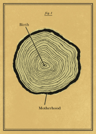 Cross Section - Greeting Card by Paperless Post