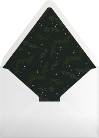 Winter Greenery - Paperless Post Envelope