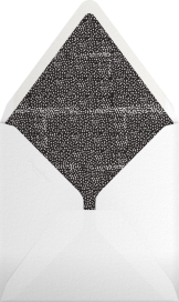 The Raleigh - Mr. Boddington's Studio Envelope