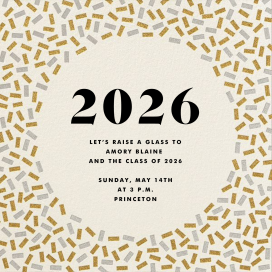 Gold & Silver Confetti - Celebration Invitation by The Indigo Bunting