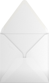 Snowflake Pattern - Paperless Post Envelope