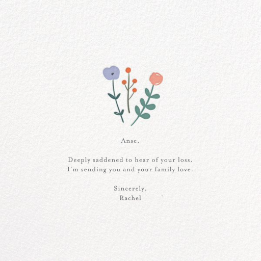 Pick-me-up - Announcement by Little Cube - Back