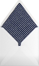 Mint - Paperless Post Envelope