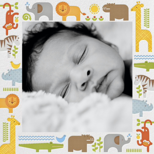 Safari Border - Birth Announcement by Petit Collage