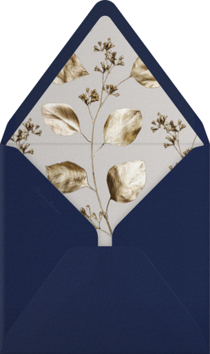 Holiday Drape - Paperless Post Envelope