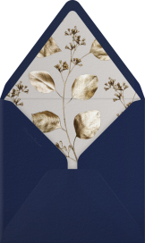 Holiday Drape - Paperless Post Envelope