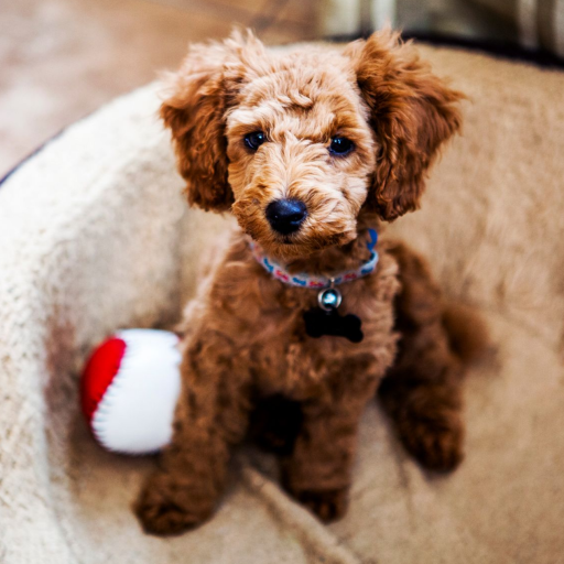 Full-Page Photo Square (Double-Sided) - Birthday Card by Paperless Post