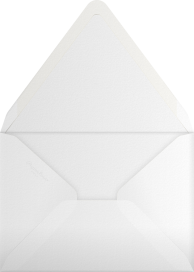 Custom (Sawtooth) - Paperless Post Envelope
