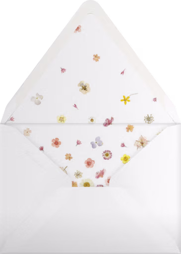 Vincennes (Invitation) - Paperless Post Envelope