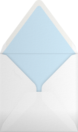 Buffalo Check (Photo) - Oscar de la Renta Envelope