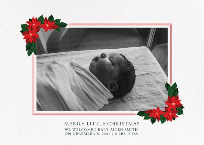 Poinsettia Flourish - Christmas Card by Paperless Post