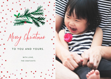 Tis the Season to Be Holly (Photo) - Christmas Card by Mr. Boddington's Studio