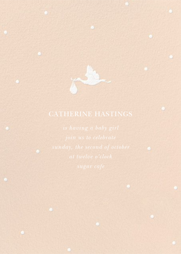 Here Comes the Stork - Baby Shower Invitation by Sugar Paper