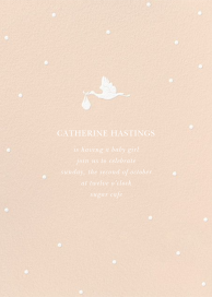 Here Comes the Stork by Sugar Paper