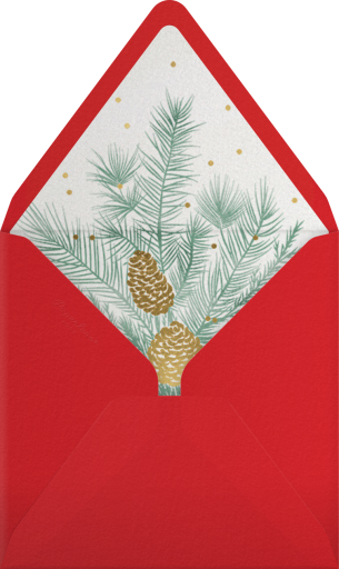 Happy Happy Joy Joy (Multi Photo) - Paperless Post Envelope