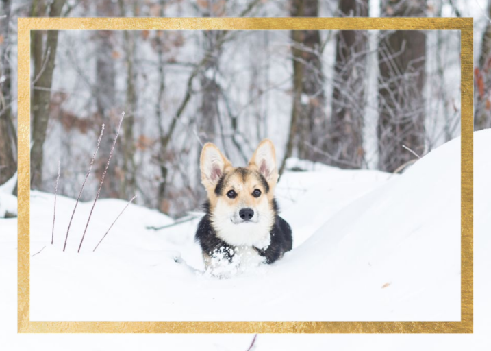 Editorial II Photo - Stationery by Paperless Post