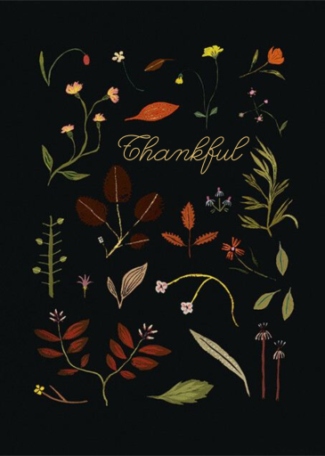 Nature Illuminated (Emily Isabella) - Moving Announcement by Red Cap Cards