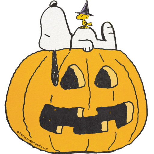 Peanuts Pumpkin Halloween Invitation