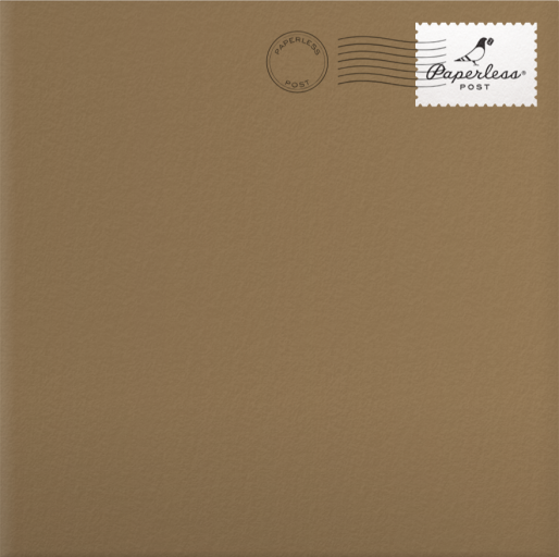 Photo Holiday Foliage Border Card Envelope