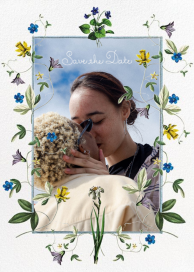 Daffodils Photo by Stephanie Fishwick