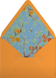 Citrus Branchlets - Fin Fellowes Envelope