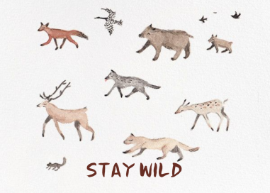 Stay Wild (Sig Burwash) - Birthday Card by Red Cap Cards