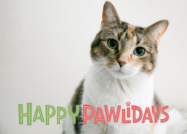 Happy Pawlidays - Christmas Card by Paperless Post