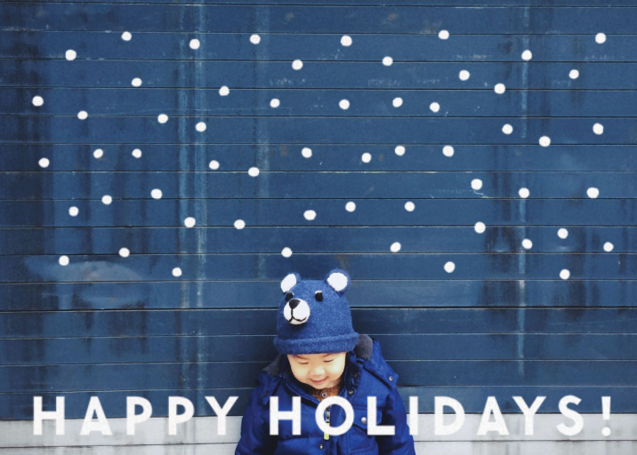 Winter Flakes by The Indigo Bunting