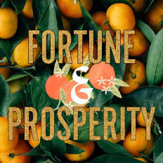 FORTUNE PROSPERITY &