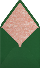 The Raleigh - Mr. Boddington's Studio Envelope