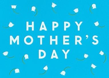 Spring Flowers by The Indigo Bunting