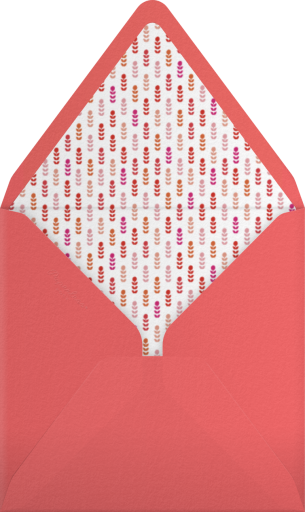 The Raleigh - Mr. Boddington's Studio Envelope