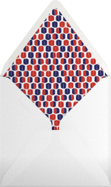 Mrs. Robinson - Mr. Boddington's Studio Envelope