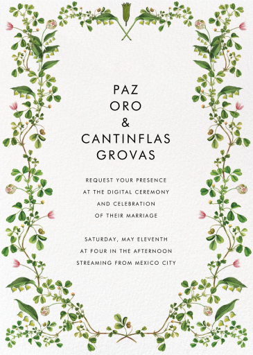 Lily Vines by Stephanie Fishwick