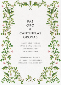 Lily Vines by Stephanie Fishwick